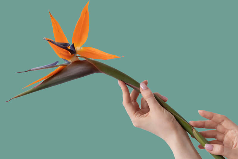 Bewegungsapparat – auf dem Weg zu mehr Lebensqualität